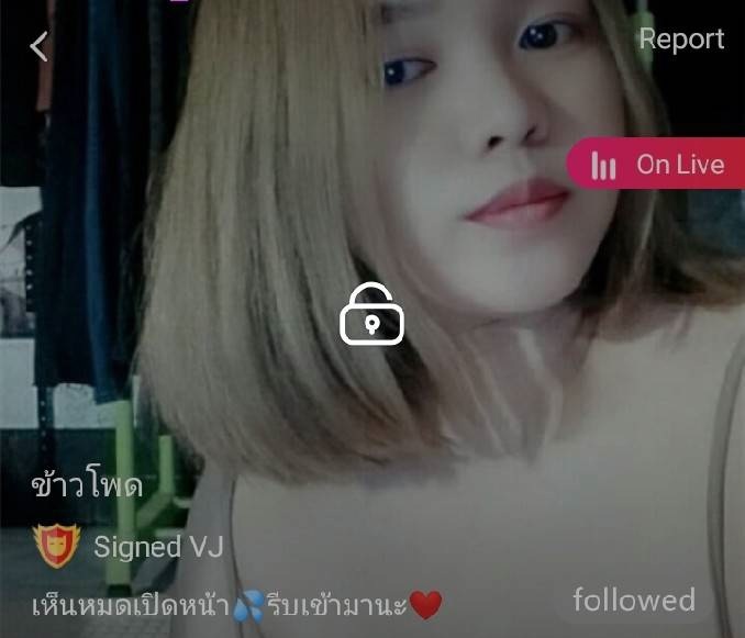 ข้าวโพด mlive
