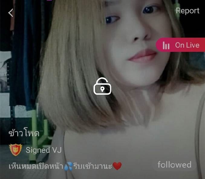 ข้าวโพด mlive