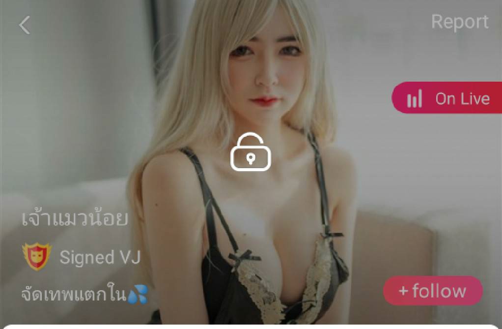เจ้าแมวน้อย คู่เทพ mlive