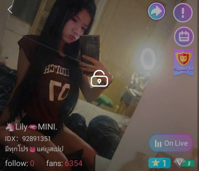 Lily MINI. mlive