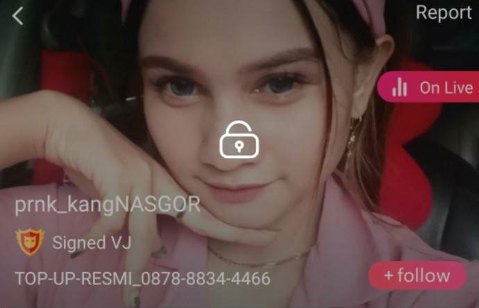 prnk_kangNASGOR mlive
