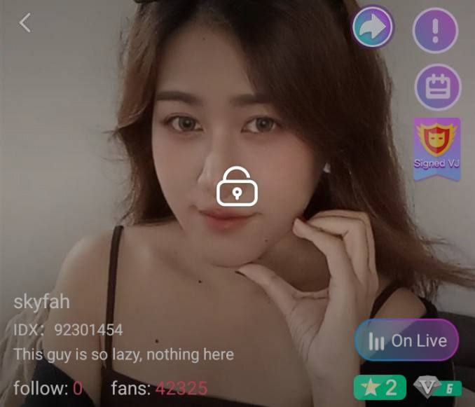 skyfah mlive